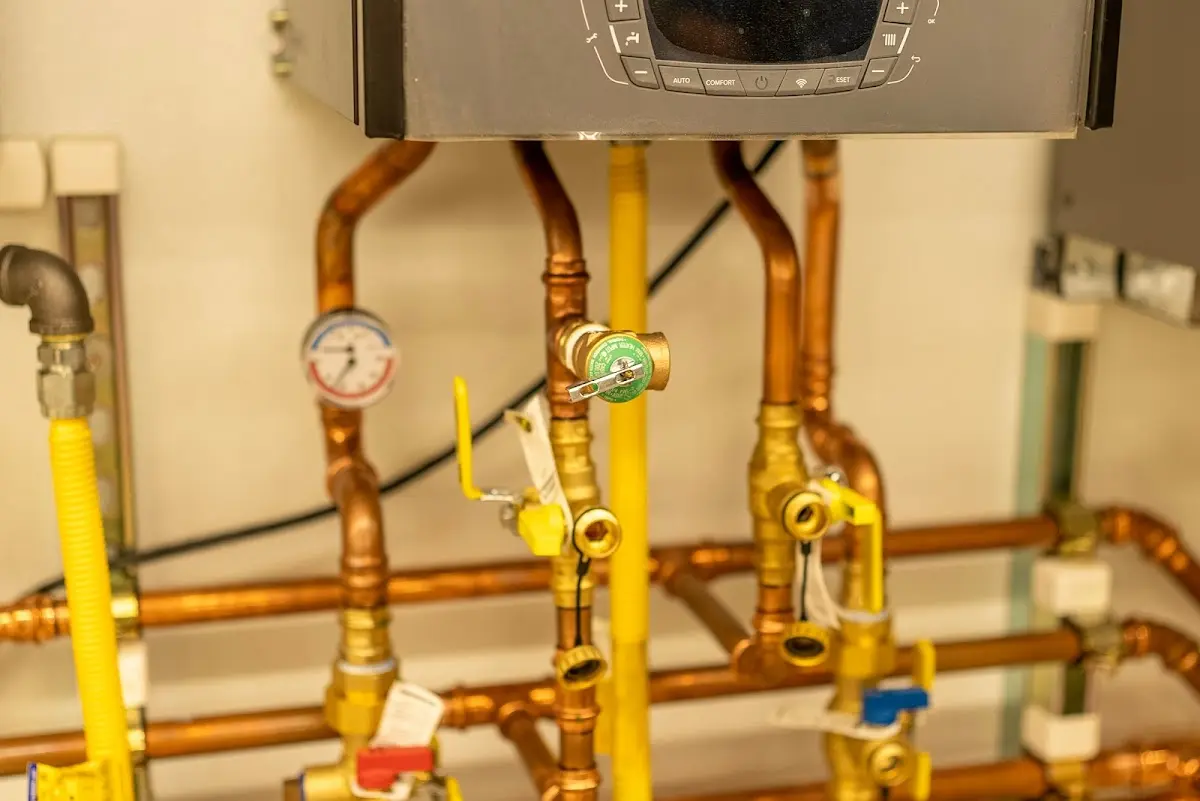 Licensed technician providing Emergency Plumbing for a homeowner in Erwin